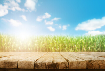 Empty wooden table are placed outdoors on beautiful spring scenery background with sky and corn...