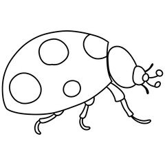 single ladybug insect animal, Spring Season illustration Element