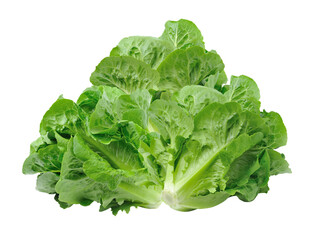 carrot isolated on transparent png