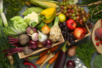 Different fresh vegetables and fruits on grey wooden table, flat lay. Farmer harvesting