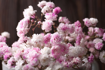 Beautiful dyed gypsophila flowers on brown background, closeup