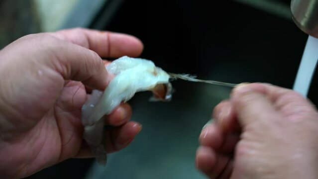 A chef in the kitchen is back-opening and delinting fresh shrimp