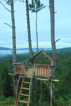 Mamasa, West Sulawesi, Indonesia, March 2023. Natural Beauty and Excellent Air Quality, 
Buntu Kepa Mamasa Natural Tourism Object,