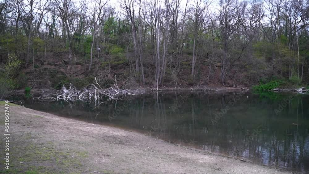 Poster Movement through a branch with leaves towards a small lake in which a tree is lying in the water