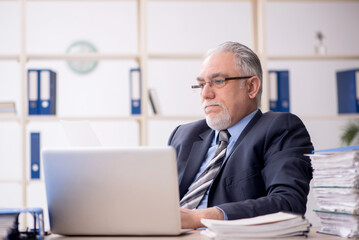 Old male employee working in the office