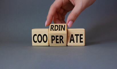 Coordination and Cooperation symbol. Businessman hand turns wooden cubes and changes the word Cooperation to Coordination. Beautiful grey background. Business concept. Copy space