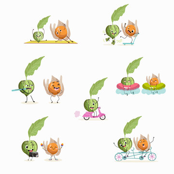 Illustration vector set, collection with funny  tomatillo, tomato, physalis, physalis, uvilla, phisalis,
uchuva, phisalys, ground cherry 
characters doing sports, playing musical instruments.