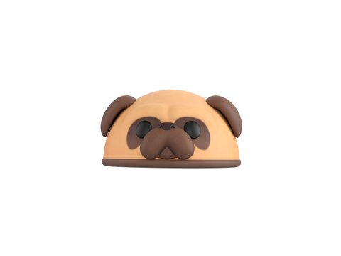 Pug Dog Hat in 3d rendering