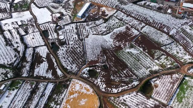 Drone view of Agriculture terrace fields covered with fresh white snow