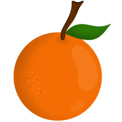 Orange Fruit Isolated on White Background