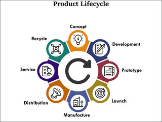 Product lifecycle with icons in an infographic template