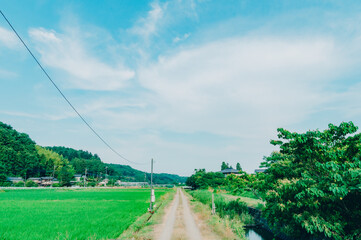 夏の田舎風景
