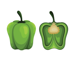 Green Paprika Fruit Vegetable Vector Illustration Fresh Fruits Vegetables