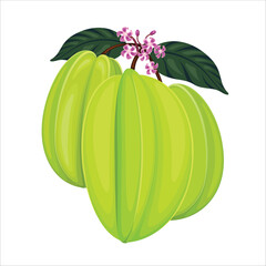 Green Starfruit Fruit Vector Illustration Fresh Fruits Star Fruit Starfruits