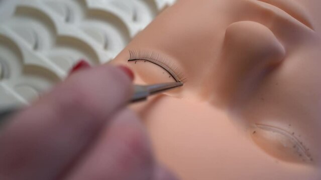 Training eyelash extensions concept. Close up work with tweezers on silicone mannequin head. Macro shot.