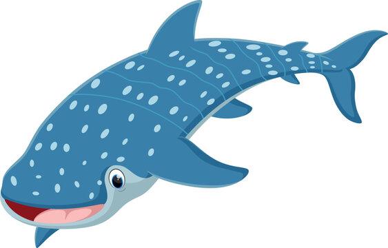 whaleshark cartoon, isolated on white