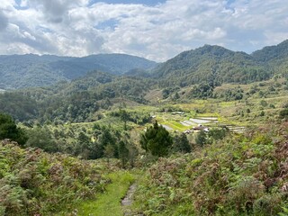 Fototapeta na wymiar Beautiful landscape of hills and valley at Ziro valley Arunachal pradesh