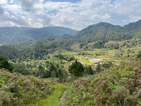 Beautiful landscape of hills and valley at Ziro valley Arunachal pradesh