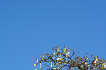 Background with blue sky and Easter eggs on tree branches