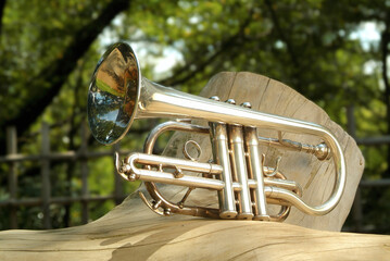 木陰のコルネット、Cornet