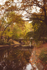 Autumn in the park in Budapest.