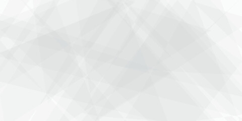 Abstract modern white and grey geometric triangle lines vector background. Design use for poster, template, wallpaper background.