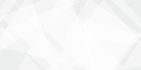 Obraz premium Abstract triangle shape modern white and grey geometric banner background.