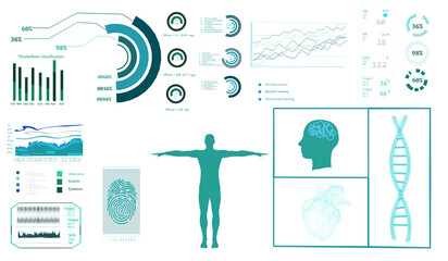 Interface set medical examination scanner human anatomy.Design for elements.