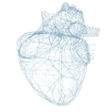 Human heart anatomy elements with blue wireframe with connected poly geometric dots.