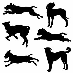 Pitbull, bulldog, terrier, dog animal silhouettes, icon, logo