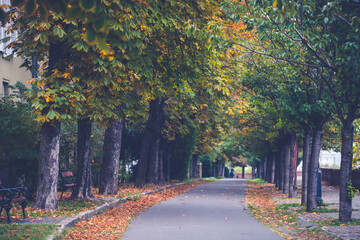 Naklejka premium Autumn in Budapest, Hungary.