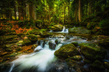 Obraz premium waterfall in the woods