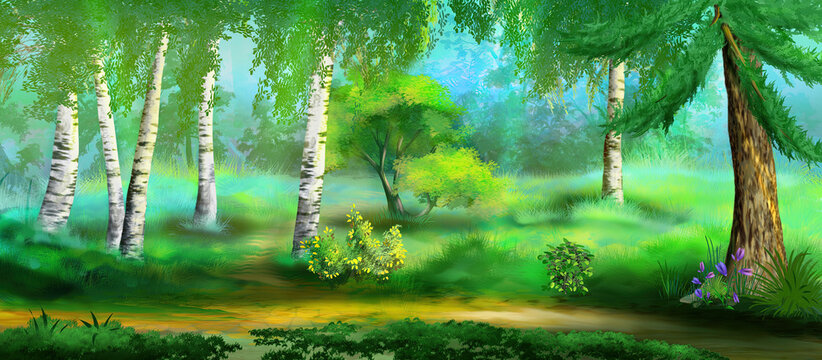 Birches in the forest illustration