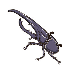 Sticker illustration of the hercules beetle vector design