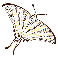 Iphiclides podalirius, beautiful butterfly with large brown wings and a yellow pattern on them, creative sketch on a white background