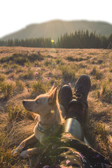 Dog and owner hiker enjoying mountain view isolated PNG photo with transparent background