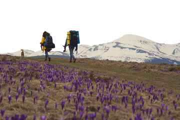 Trekkers with backpacks and small active dog isolated PNG photo with transparent background
