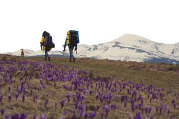 Trekkers with backpacks and small active dog isolated PNG photo with transparent background
