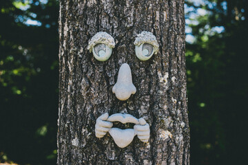 Anthropomorphic face on tree trunk