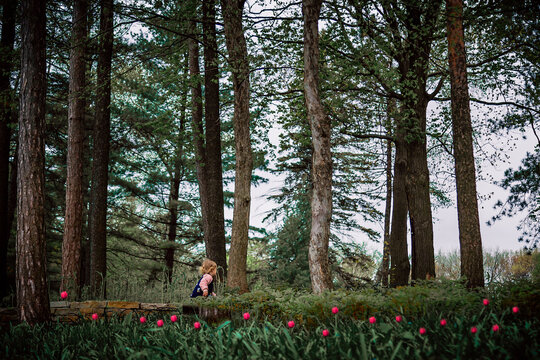 Side view of girl standing amidst forest