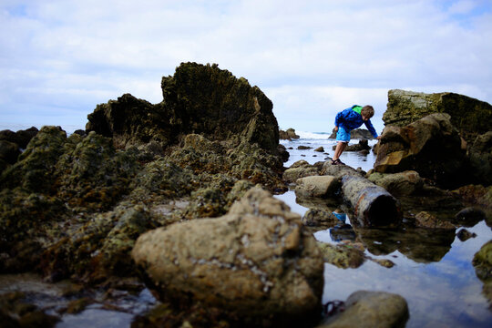 Boy searching something while standing on rocks at Laguna Beach