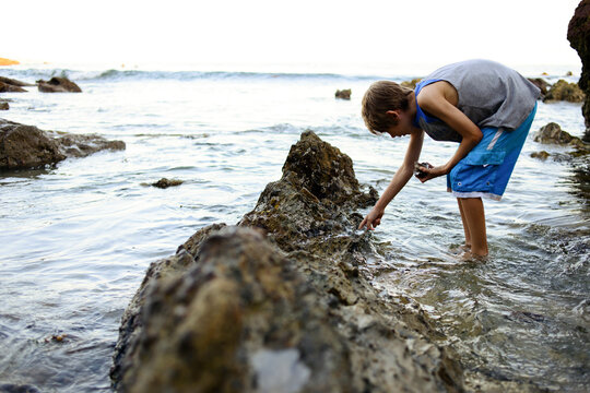 Side view of boy collecting seashells at Laguna Beach