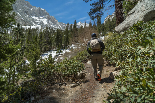 Rear view of hiker with backpack walking on dirt road by plants
