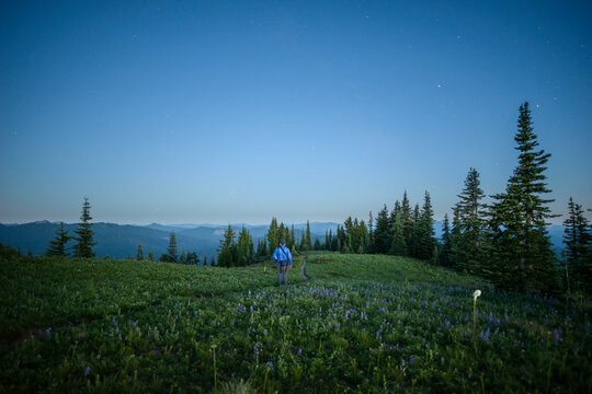 Rear view of hiker standing on field against sky at Mount Rainer National Park