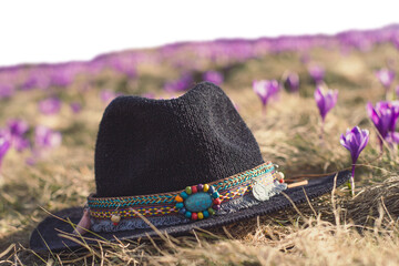 Knit summer hat on early flowers grass meadow isolated PNG photo with transparent background