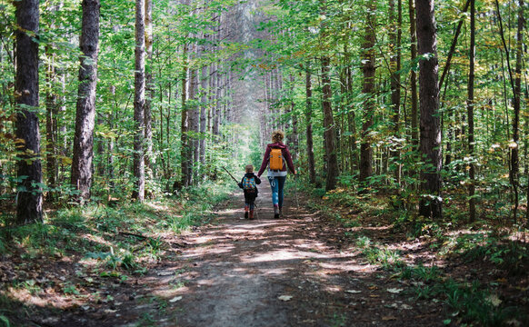 Rear view of mother and son with backpack hiking in forest