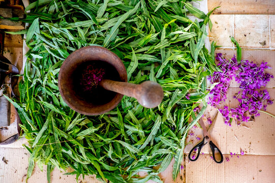 Overhead view of mortar and pestle on leaves
