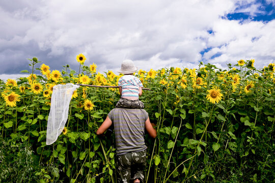 Rear view of son holding butterfly net while sitting on father's shoulder at sunflower field against cloudy sky