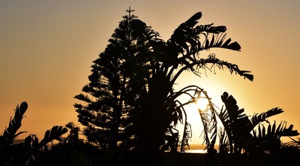 Obraz premium a beautiful sunset in Cape Town