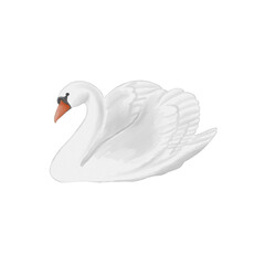 watercolor swan